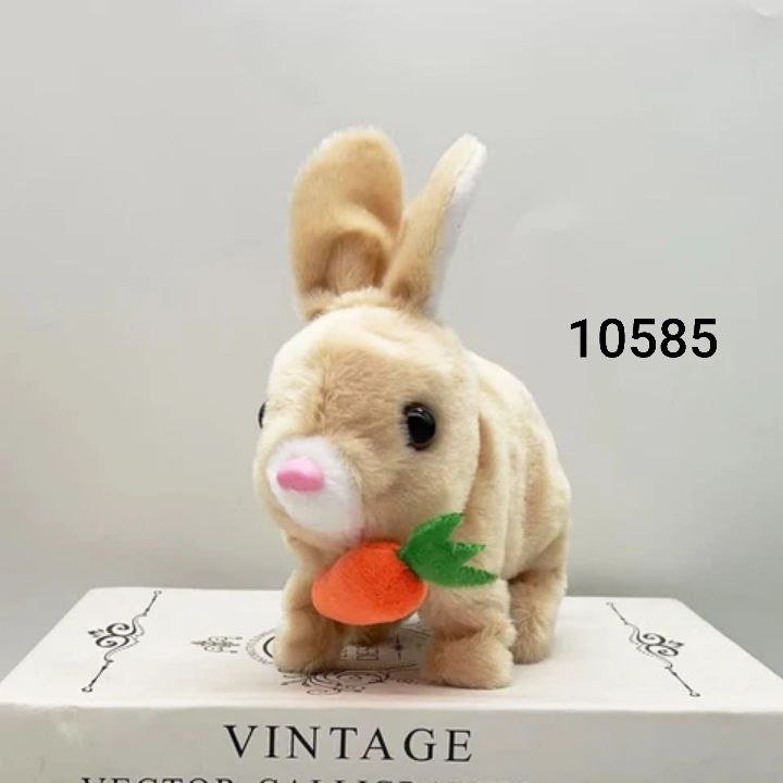 أرنب فرو جزره🐰